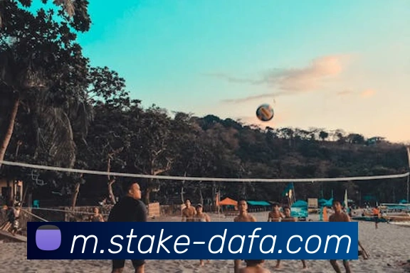 大发官网APP 高清赛事图